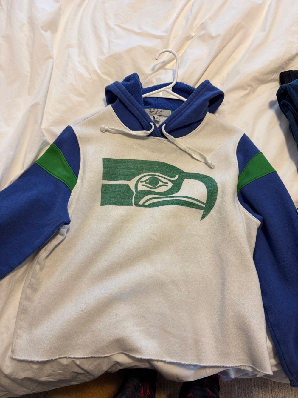 Junk Food Clothing Blue, White & Green Hooded Pullover